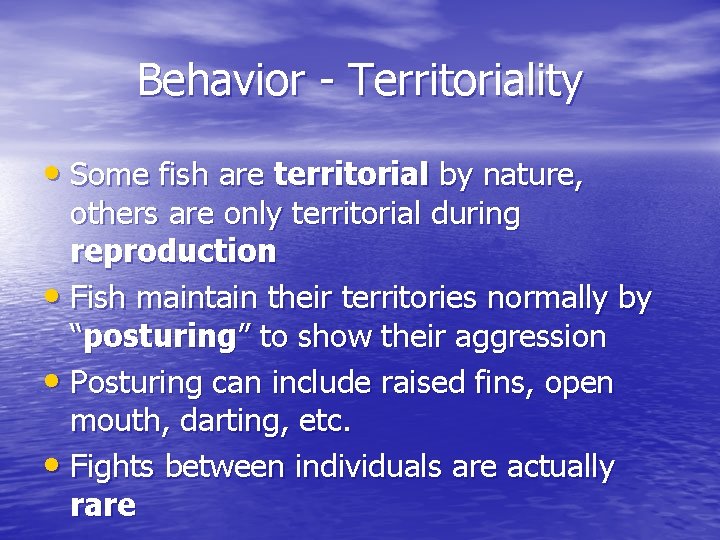 Behavior - Territoriality • Some fish are territorial by nature, others are only territorial Behavior - Territoriality • Some fish are territorial by nature, others are only territorial