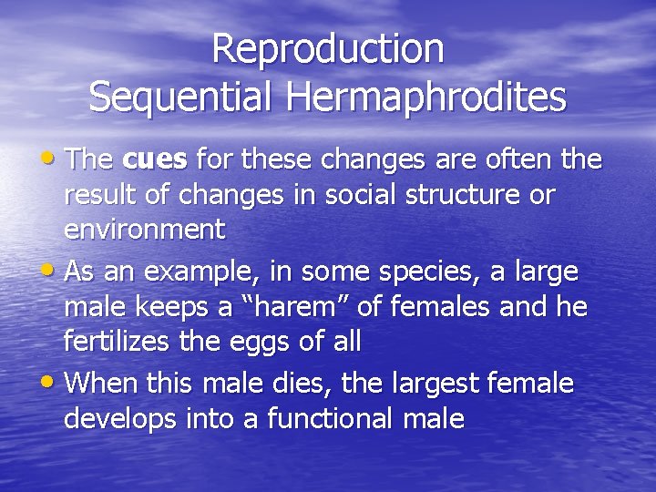 Reproduction Sequential Hermaphrodites • The cues for these changes are often the result of Reproduction Sequential Hermaphrodites • The cues for these changes are often the result of