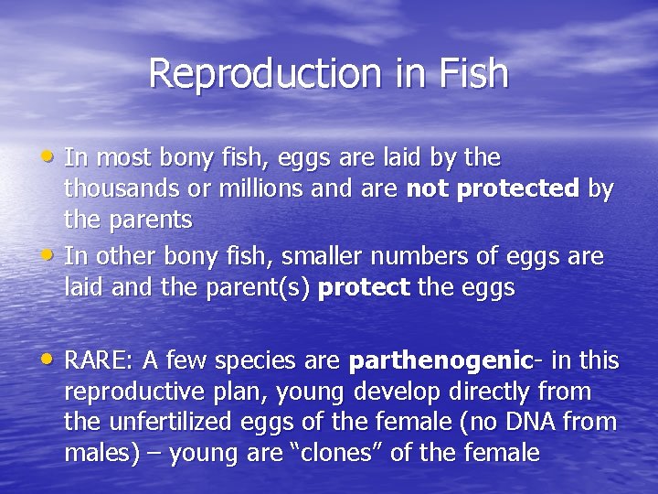 Reproduction in Fish • In most bony fish, eggs are laid by the • Reproduction in Fish • In most bony fish, eggs are laid by the •