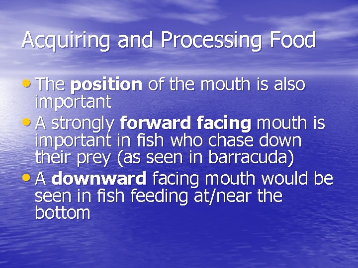 Acquiring and Processing Food • The position of the mouth is also important • Acquiring and Processing Food • The position of the mouth is also important •