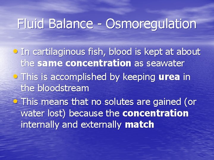 Fluid Balance - Osmoregulation • In cartilaginous fish, blood is kept at about the Fluid Balance - Osmoregulation • In cartilaginous fish, blood is kept at about the