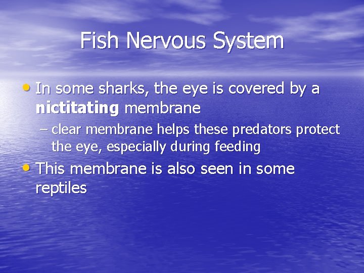Fish Nervous System • In some sharks, the eye is covered by a nictitating Fish Nervous System • In some sharks, the eye is covered by a nictitating