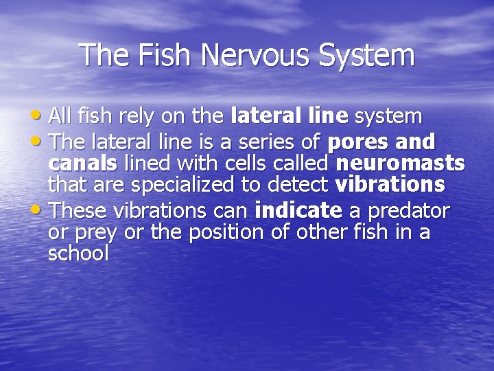 The Fish Nervous System • All fish rely on the lateral line system • The Fish Nervous System • All fish rely on the lateral line system •