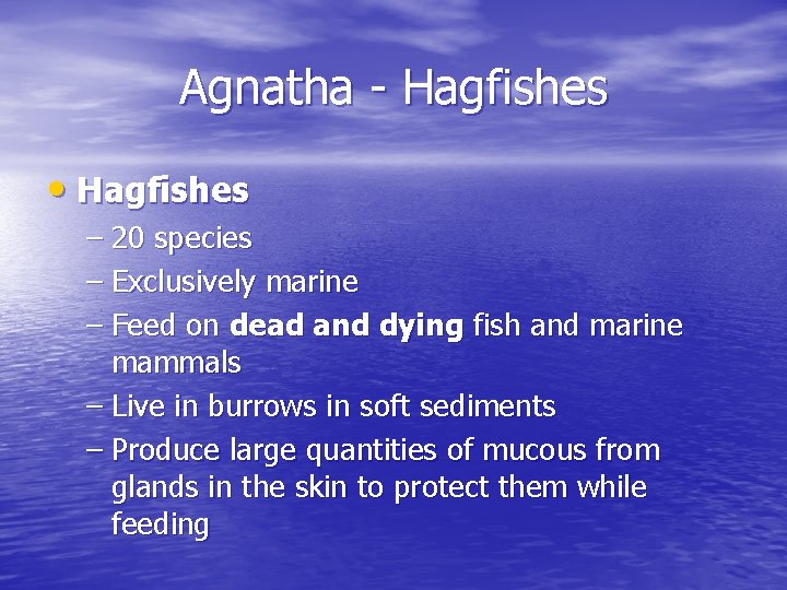 Agnatha - Hagfishes • Hagfishes – 20 species – Exclusively marine – Feed on Agnatha - Hagfishes • Hagfishes – 20 species – Exclusively marine – Feed on