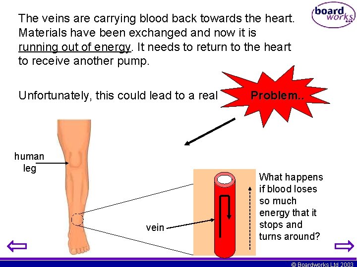 The veins are carrying blood back towards the heart. Materials have been exchanged and