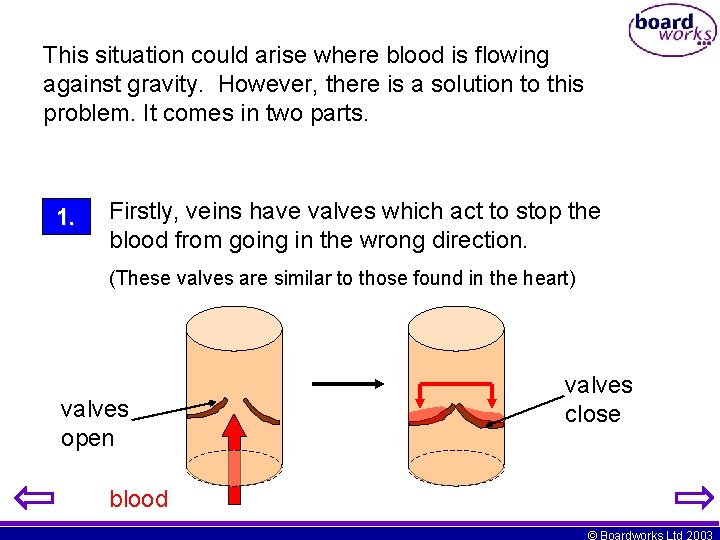 This situation could arise where blood is flowing against gravity. However, there is a