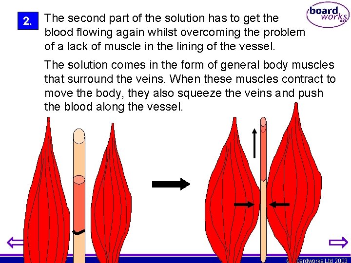 2. The second part of the solution has to get the blood flowing again