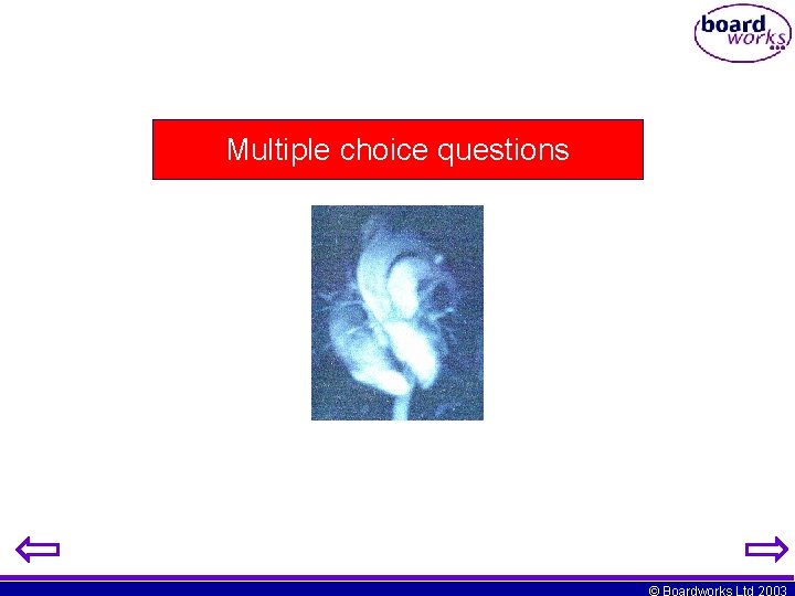 Multiple choice questions © Boardworks Ltd 2003 