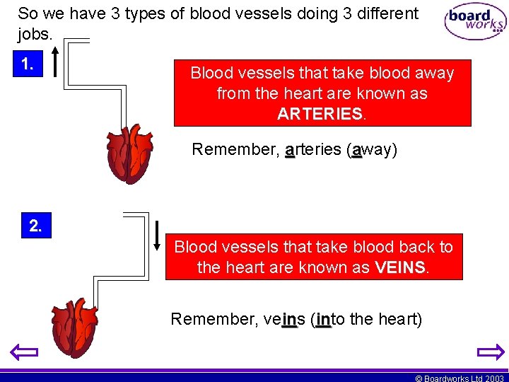 So we have 3 types of blood vessels doing 3 different jobs. 1. Blood