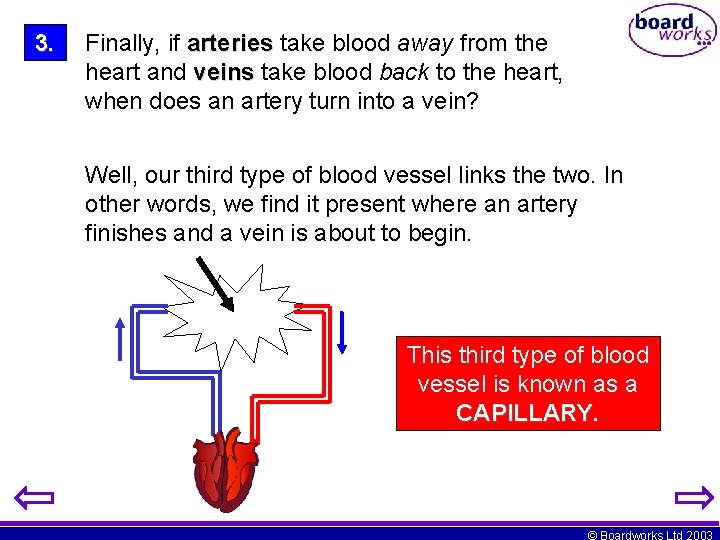 3. Finally, if arteries take blood away from the heart and veins take blood