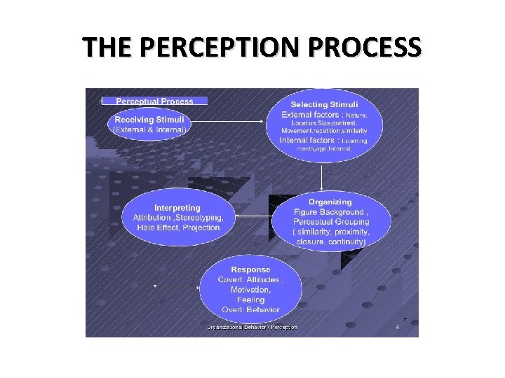 THE PERCEPTION PROCESS THE PERCEPTION PROCESS