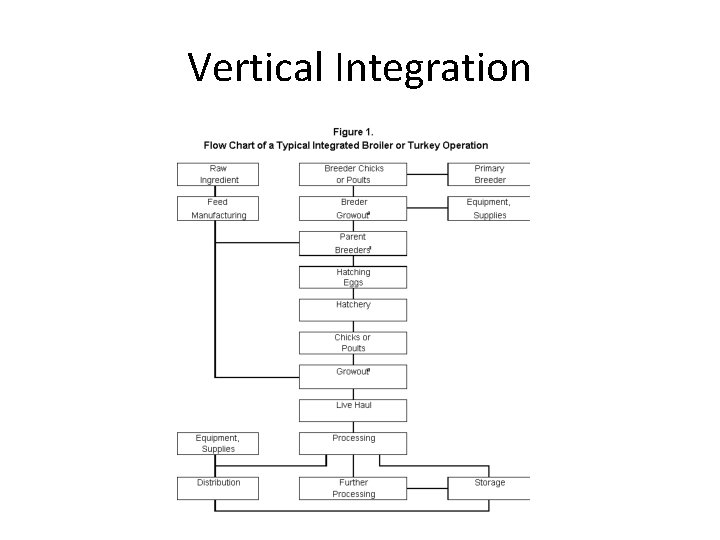 Vertical Integration 