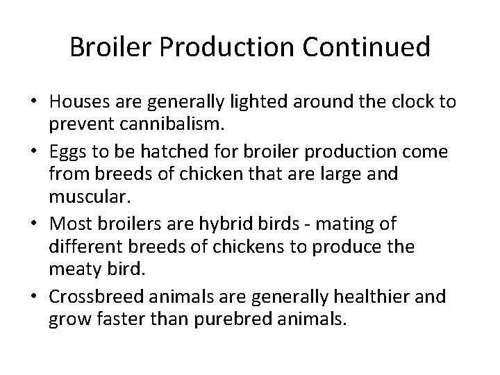 Broiler Production Continued • Houses are generally lighted around the clock to prevent cannibalism.