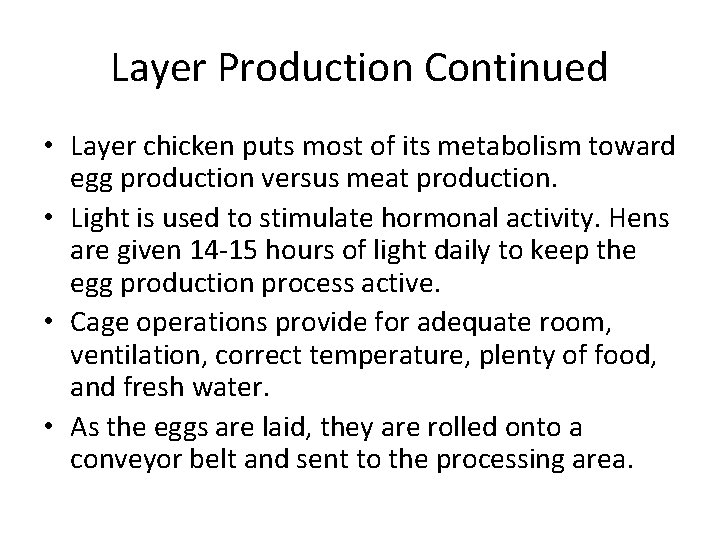Layer Production Continued • Layer chicken puts most of its metabolism toward egg production