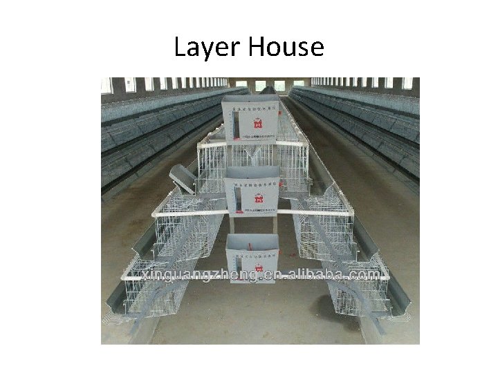 Layer House 