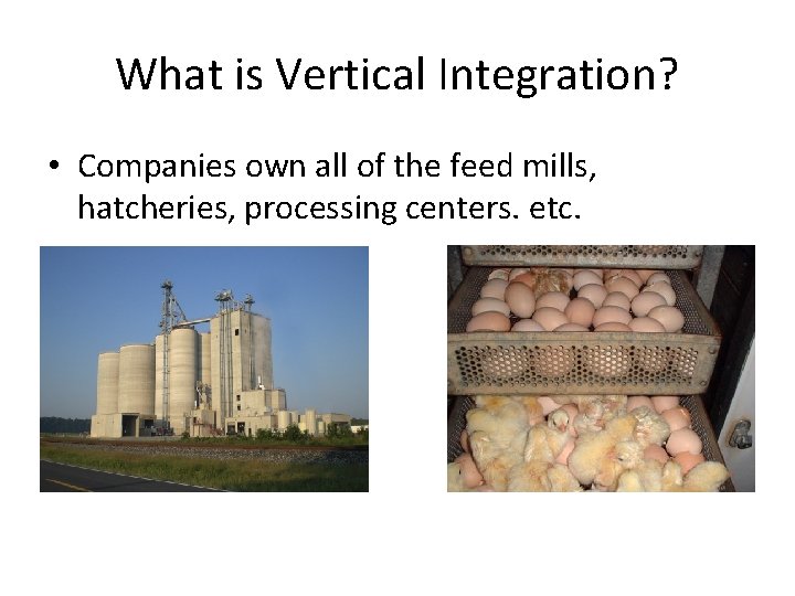 What is Vertical Integration? • Companies own all of the feed mills, hatcheries, processing