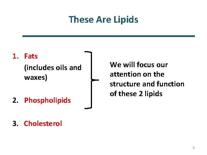 These Are Lipids 1. Fats (includes oils and waxes) 2. Phospholipids We will focus