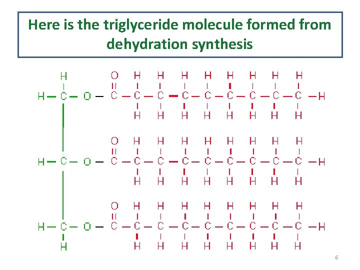 Here is the triglyceride molecule formed from dehydration synthesis 6 