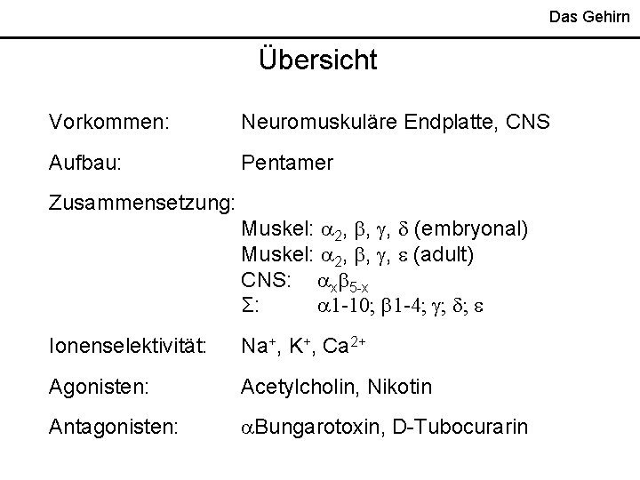 Das Gehirn Übersicht Vorkommen: Neuromuskuläre Endplatte, CNS Aufbau: Pentamer Zusammensetzung: Muskel: 2, , ,