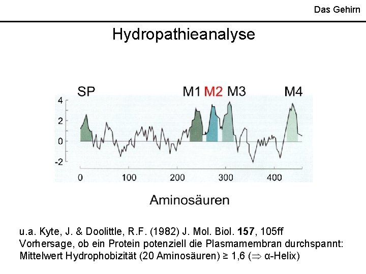 Das Gehirn Hydropathieanalyse u. a. Kyte, J. & Doolittle, R. F. (1982) J. Mol.