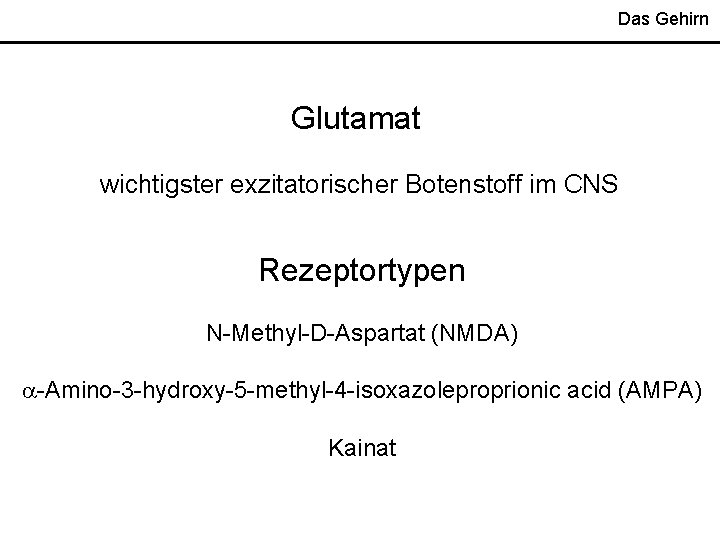 Das Gehirn Glutamat wichtigster exzitatorischer Botenstoff im CNS Rezeptortypen N-Methyl-D-Aspartat (NMDA) -Amino-3 -hydroxy-5 -methyl-4