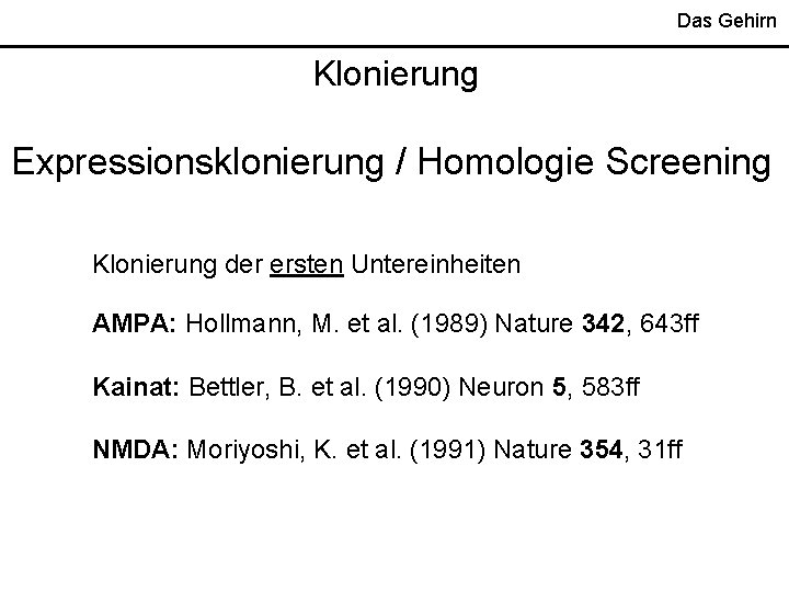 Das Gehirn Klonierung Expressionsklonierung / Homologie Screening Klonierung der ersten Untereinheiten AMPA: Hollmann, M.