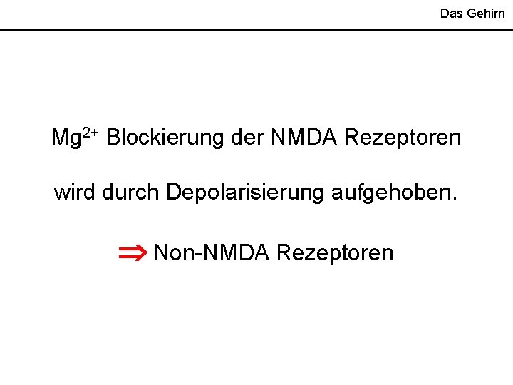 Das Gehirn Mg 2+ Blockierung der NMDA Rezeptoren wird durch Depolarisierung aufgehoben. Non-NMDA Rezeptoren