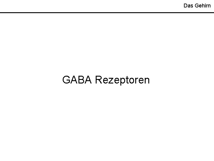 Das Gehirn GABA Rezeptoren 