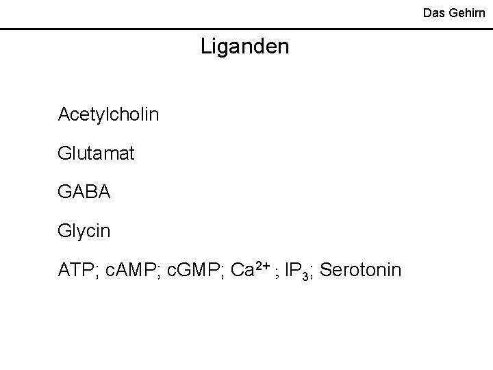 Das Gehirn Liganden Acetylcholin Glutamat GABA Glycin ATP; c. AMP; c. GMP; Ca 2+