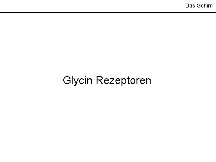 Das Gehirn Glycin Rezeptoren 