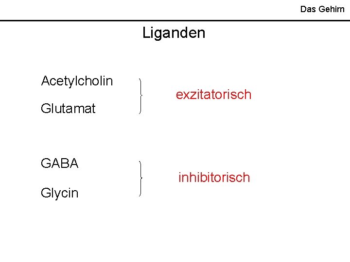 Das Gehirn Liganden Acetylcholin Glutamat GABA Glycin exzitatorisch inhibitorisch 