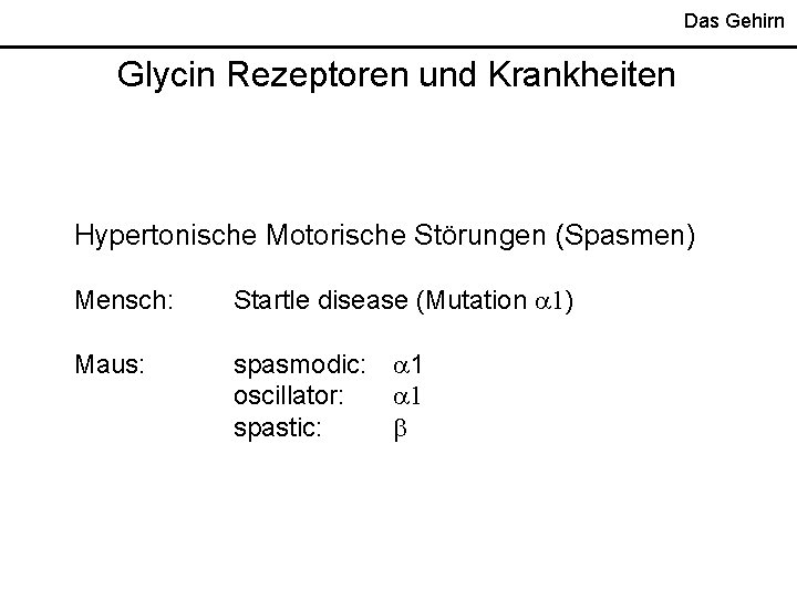 Das Gehirn Glycin Rezeptoren und Krankheiten Hypertonische Motorische Störungen (Spasmen) Mensch: Startle disease (Mutation