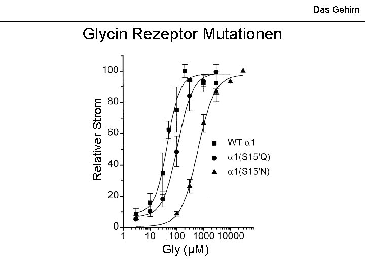 Das Gehirn Relativer Strom Glycin Rezeptor Mutationen Gly (µM) 