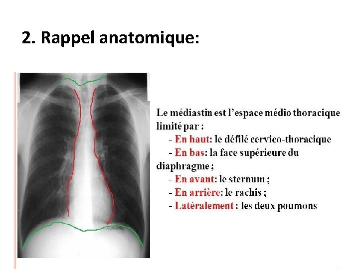 2. Rappel anatomique: 