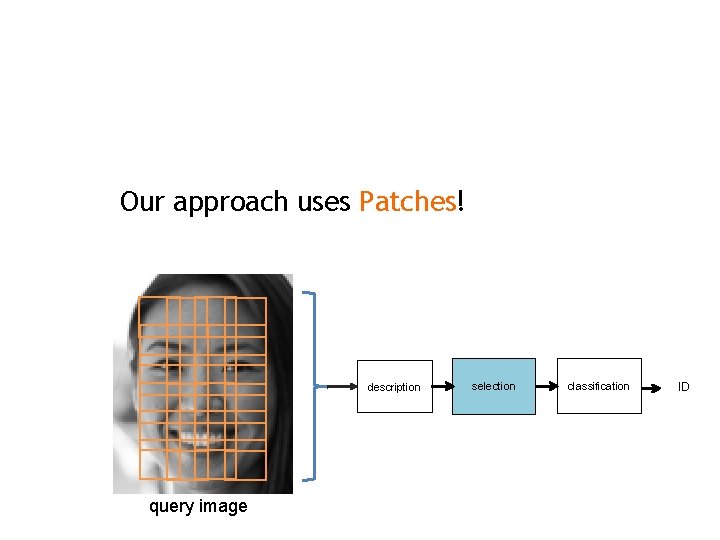 Our approach uses Patches! description query image selection classification ID 