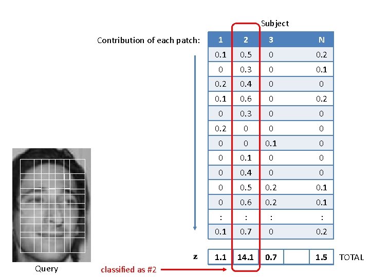 Subject Contribution of each patch: z Query classified as #2 1 2 3 N