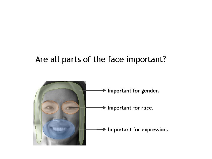 Are all parts of the face important? Important for gender. Important for race. Important