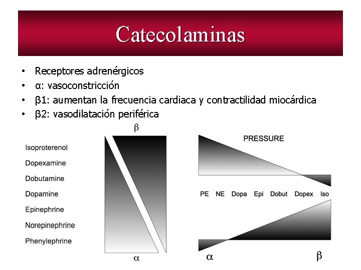 Catecolaminas • • Receptores adrenérgicos α: vasoconstricción β 1: aumentan la frecuencia cardiaca y