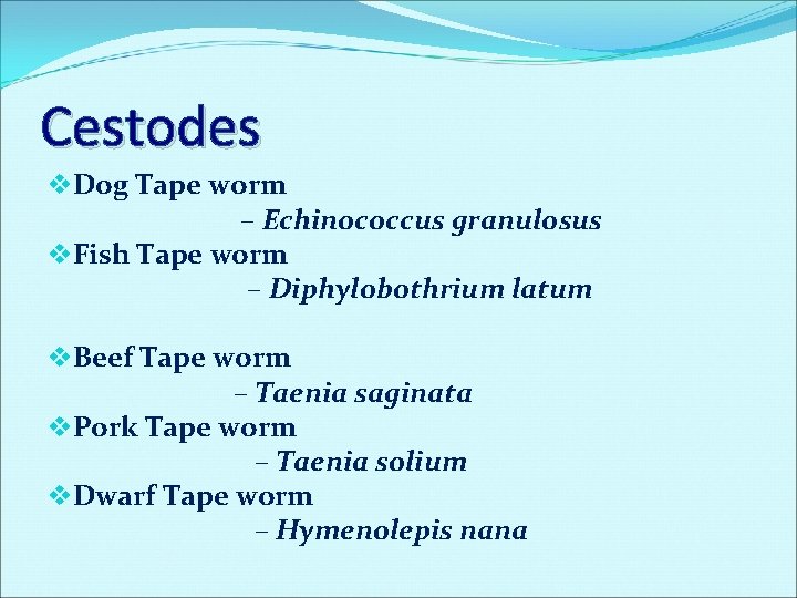 Cestodes v. Dog Tape worm – Echinococcus granulosus v. Fish Tape worm – Diphylobothrium Cestodes v. Dog Tape worm – Echinococcus granulosus v. Fish Tape worm – Diphylobothrium