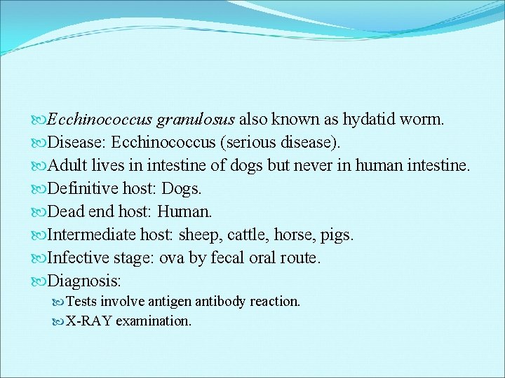 Ecchinococcus granulosus also known as hydatid worm. Disease: Ecchinococcus (serious disease). Adult lives Ecchinococcus granulosus also known as hydatid worm. Disease: Ecchinococcus (serious disease). Adult lives