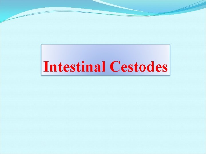 Intestinal Cestodes Intestinal Cestodes