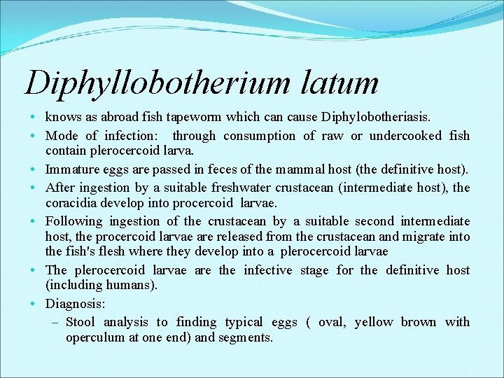 Diphyllobotherium latum • knows as abroad fish tapeworm which can cause Diphylobotheriasis. • Mode Diphyllobotherium latum • knows as abroad fish tapeworm which can cause Diphylobotheriasis. • Mode