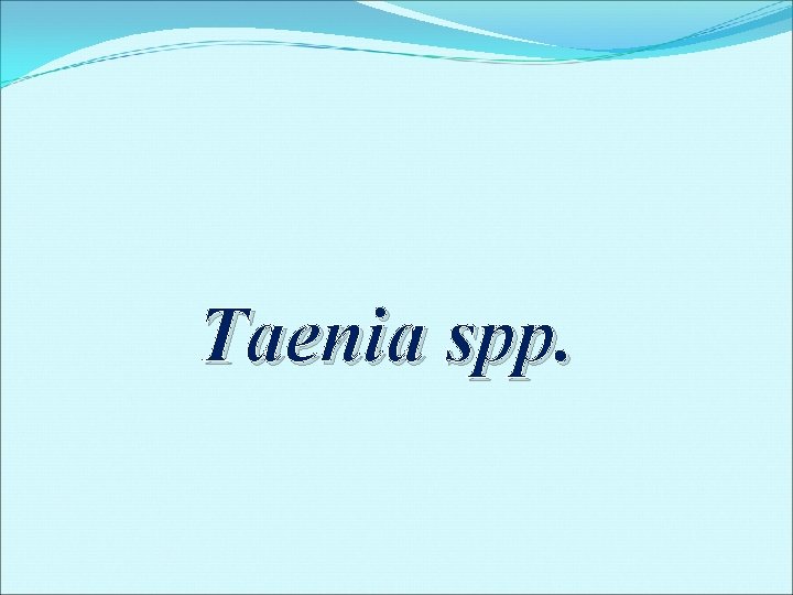 Taenia spp. Taenia spp.