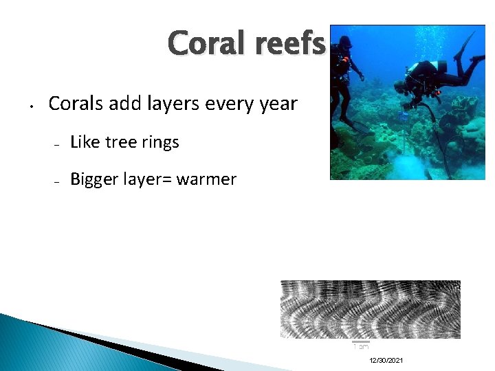 Coral reefs • Corals add layers every year – Like tree rings – Bigger