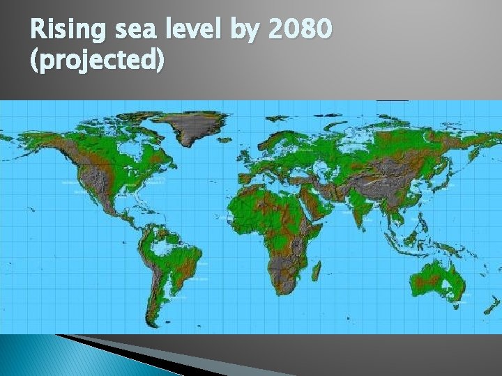 Rising sea level by 2080 (projected) 