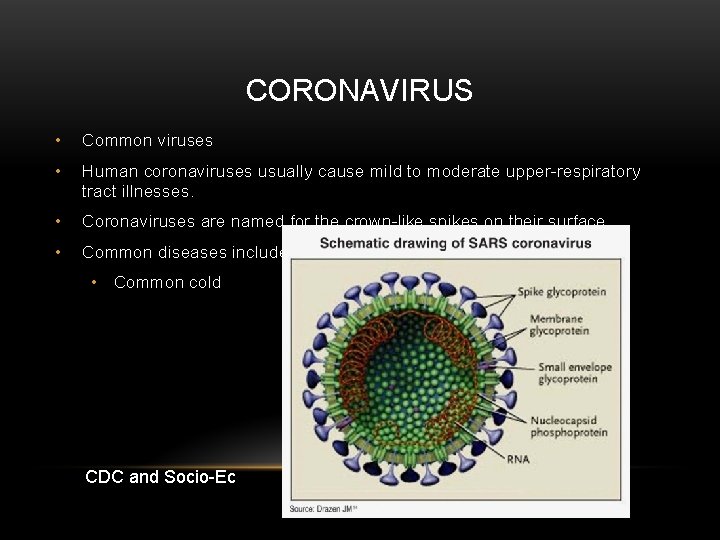 CORONAVIRUS • Common viruses • Human coronaviruses usually cause mild to moderate upper-respiratory tract