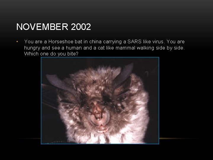 NOVEMBER 2002 • You are a Horseshoe bat in china carrying a SARS like