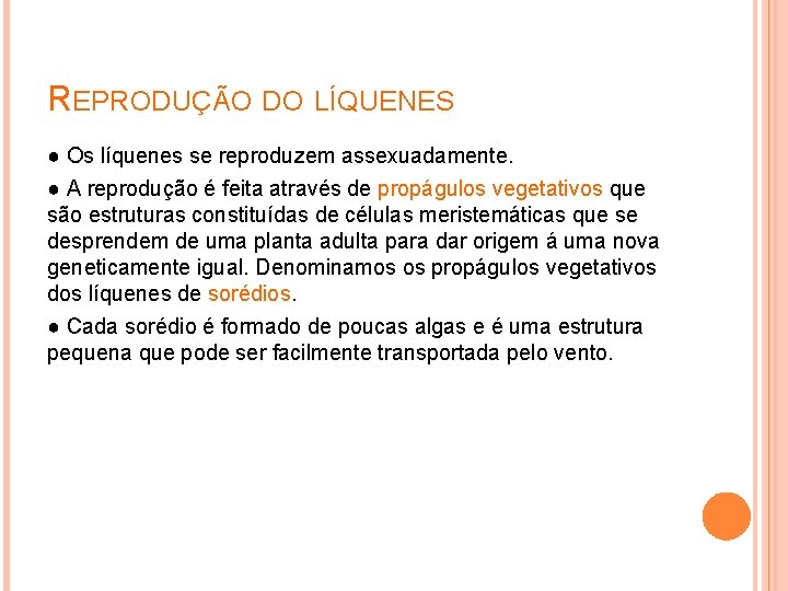 REPRODUÇÃO DO LÍQUENES ● Os líquenes se reproduzem assexuadamente. ● A reprodução é feita