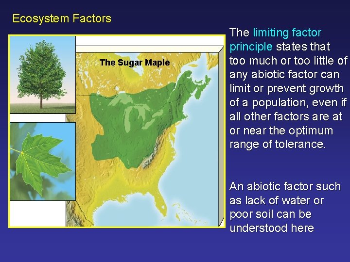 Ecosystem Factors The Sugar Maple The limiting factor principle states that too much or