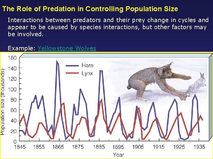 The Role of Predation in Controlling Population Size Interactions between predators and their prey